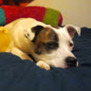 Meet your Posher, Jake